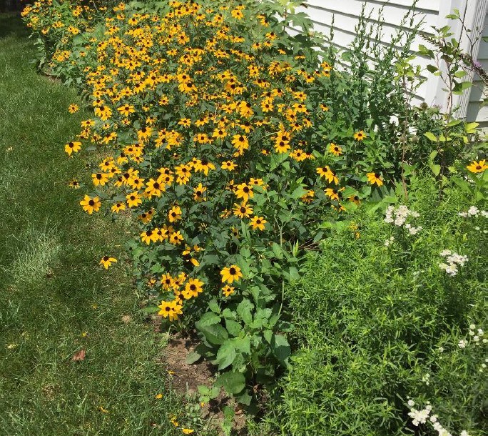 becky croke garden v2