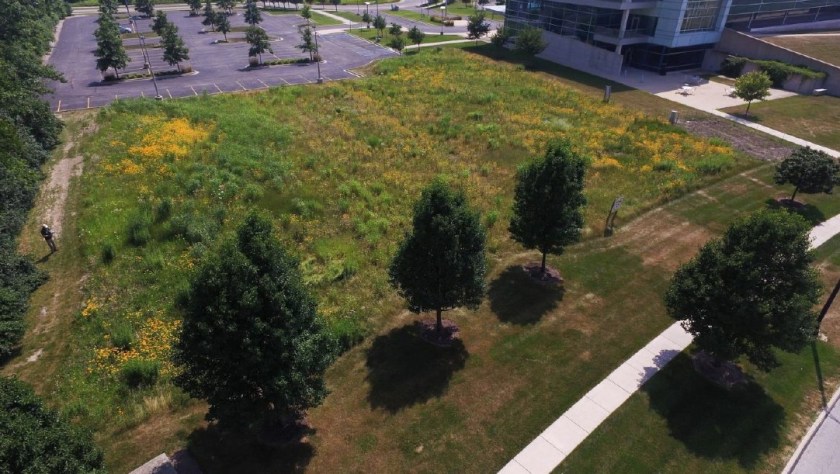 owens-illinois prairie v1