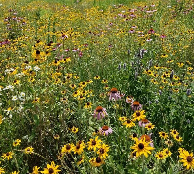 owens-illinois prairie v3