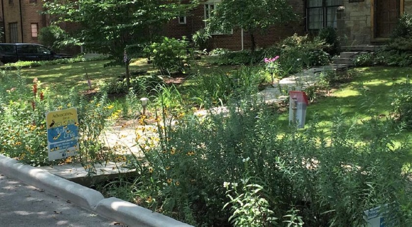 peggy daly-masternak garden v2