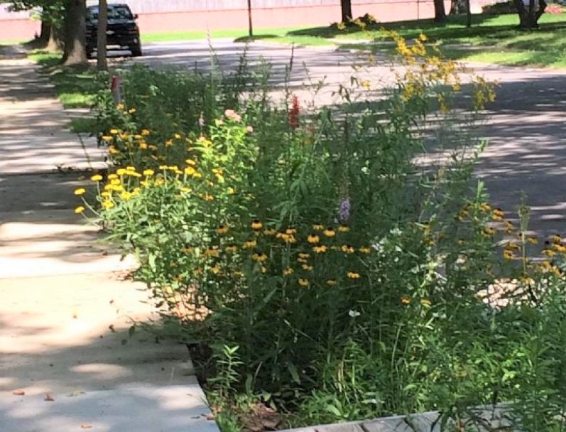 peggy daly-masternak garden v3