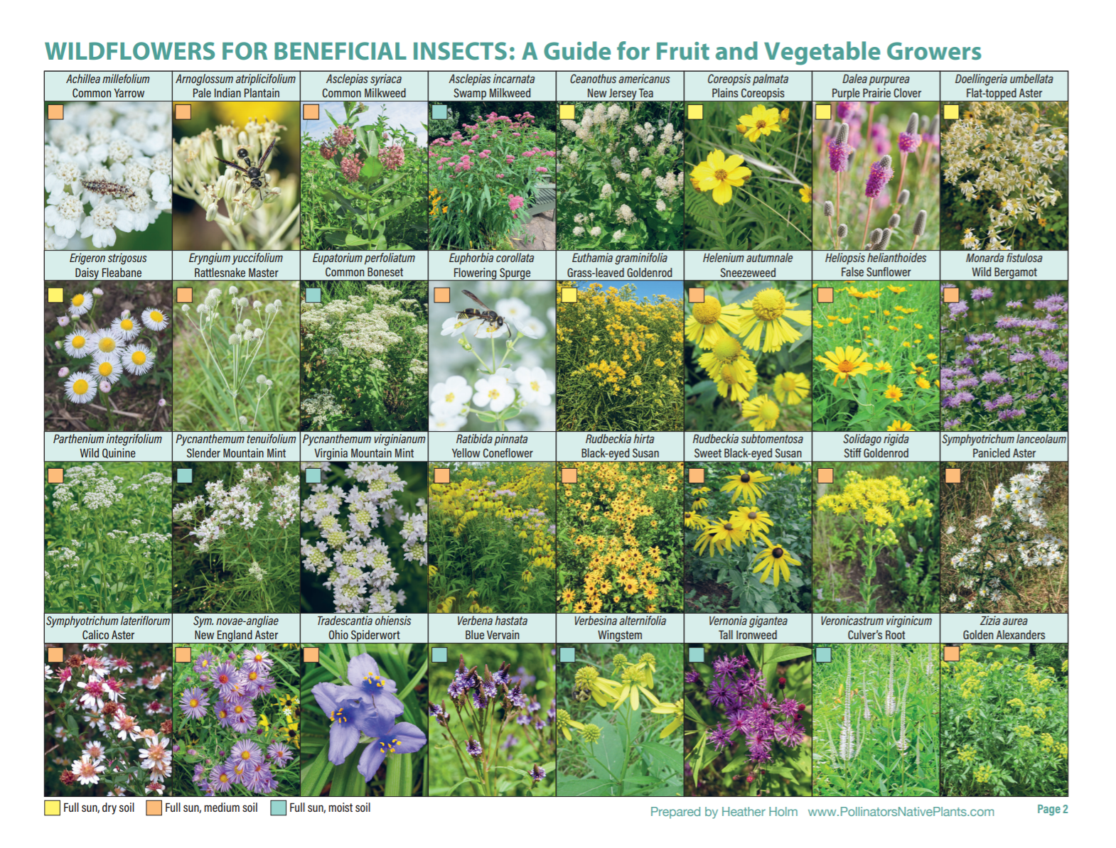 heather-holm-wildflowers-for-beneficial-insects – Wild Ones Oak ...