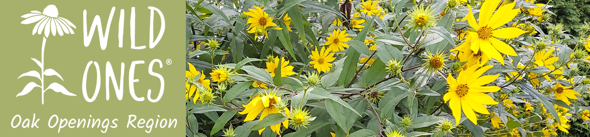 Wild Ones Oak Openings Region (NW Ohio & SE Michigan)