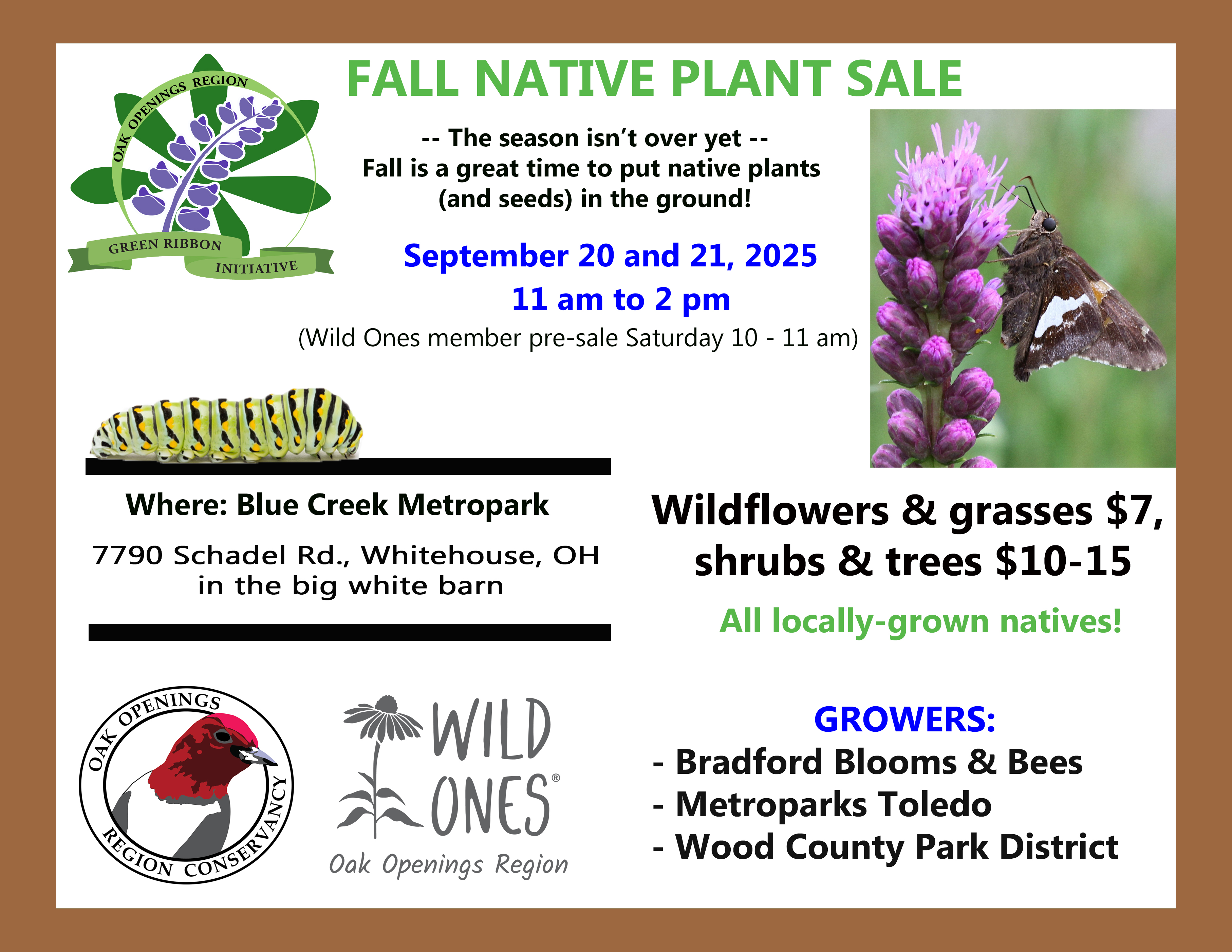 Fall Native Plant Sale – Wild Ones Oak Openings Region (NW Ohio